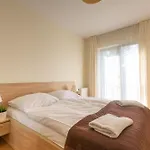 Karkonosky - Zloty Widok
