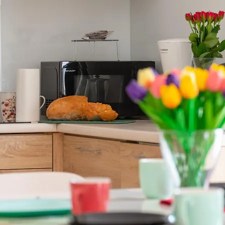 Apartament Karkonosky - Zloty Widok *
