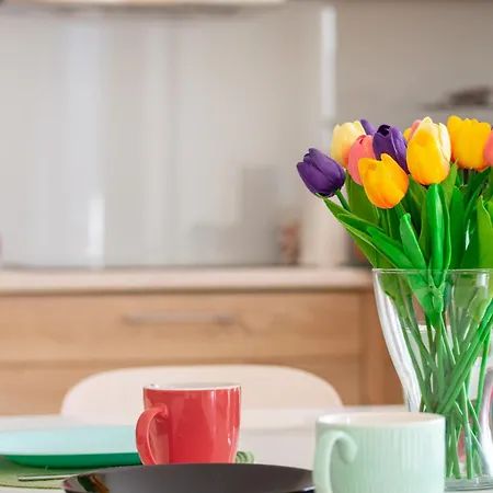 Karkonosky - Zloty Widok