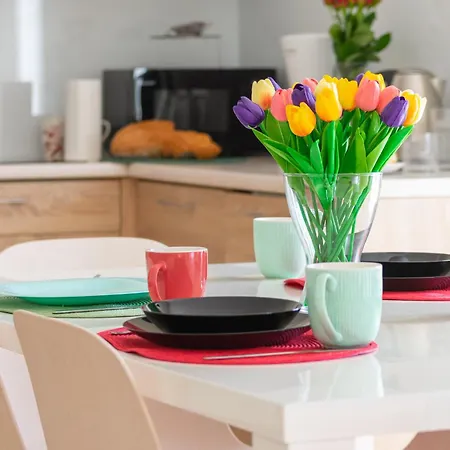 Karkonosky - Zloty Widok Apartment