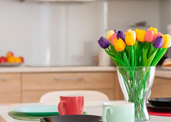 Karkonosky - Zloty Widok